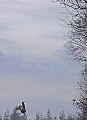 Cette bécasse volait vers moi.
 Au moment où elle me voit, plutôt que de faire un virage normal, elle monte en chandelle pour effectuer son demi-tour. Bretagne, vol, bécasse des bois 