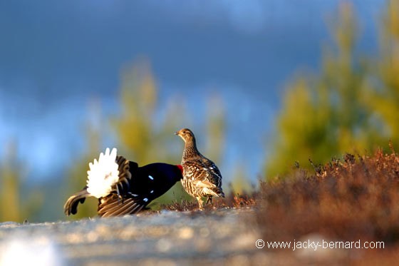 Rencontre
